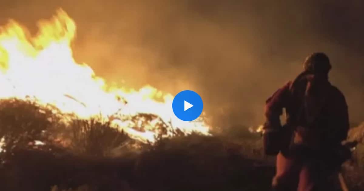 euronews incêndios