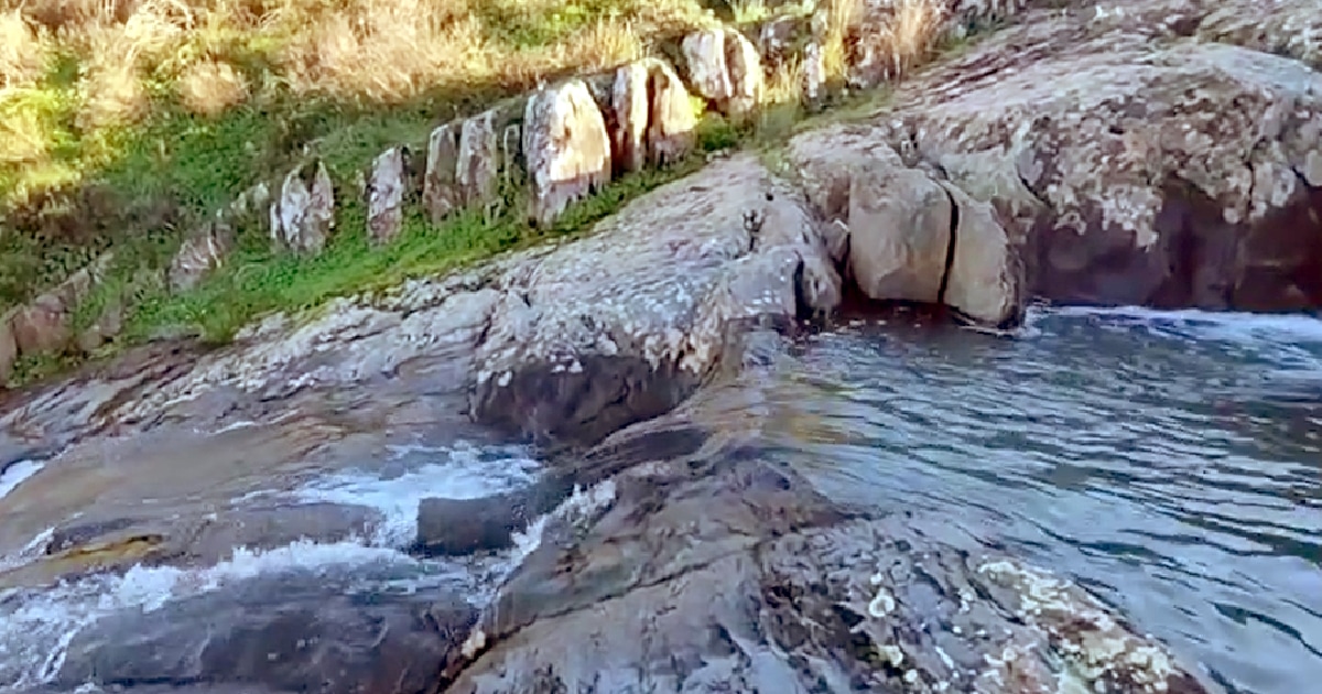 Riacho corrente entre rochas e vegetação.