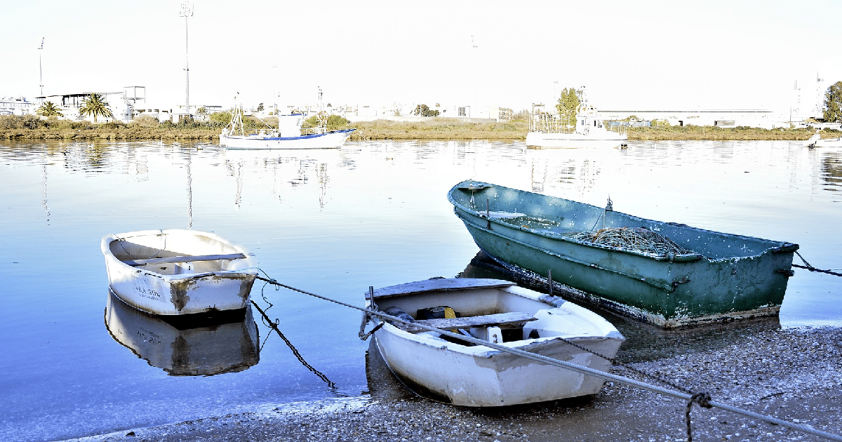 Barcos ancorados em água calma.